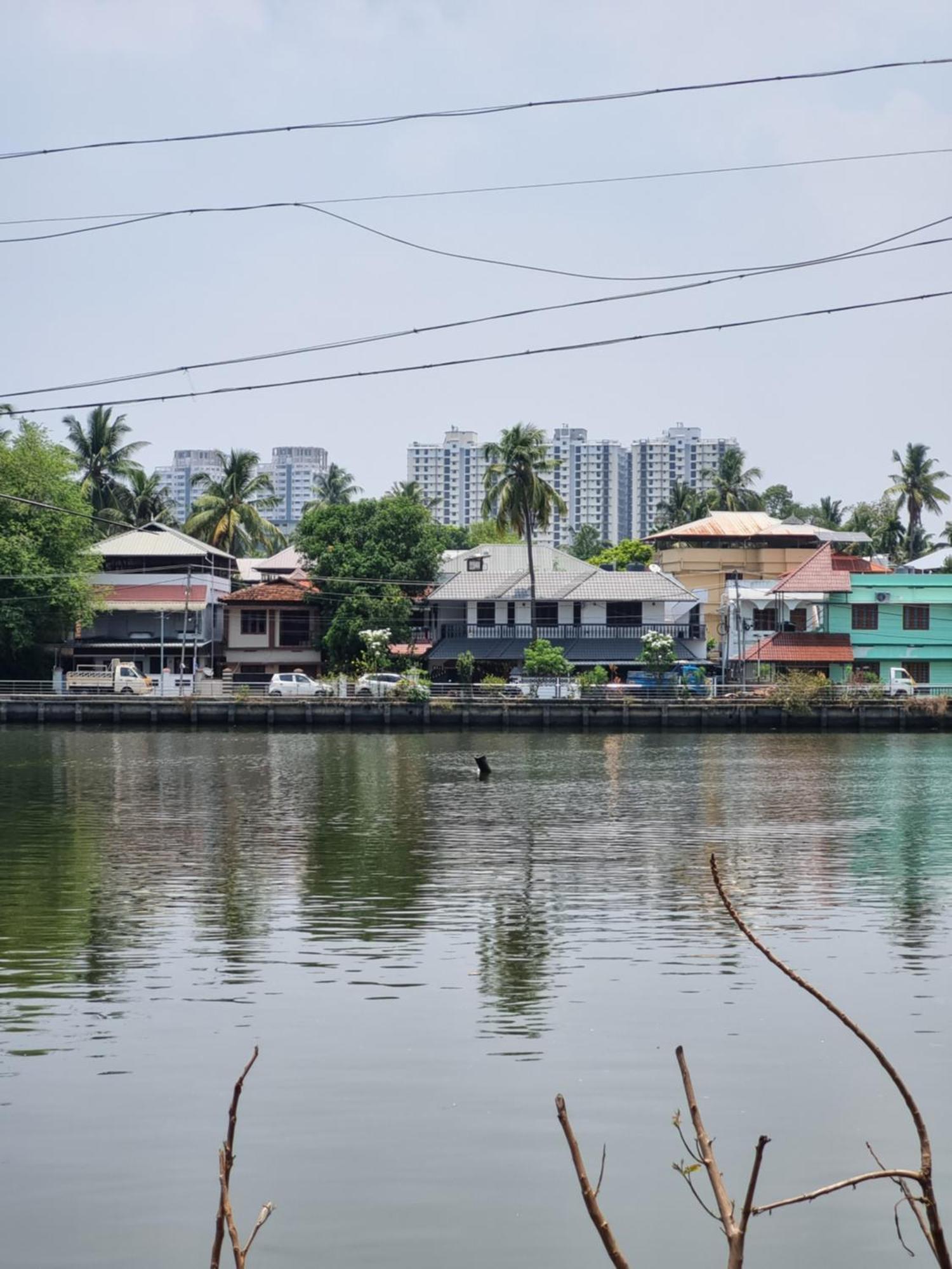 Oasis Homestay Kochi Eksteriør billede